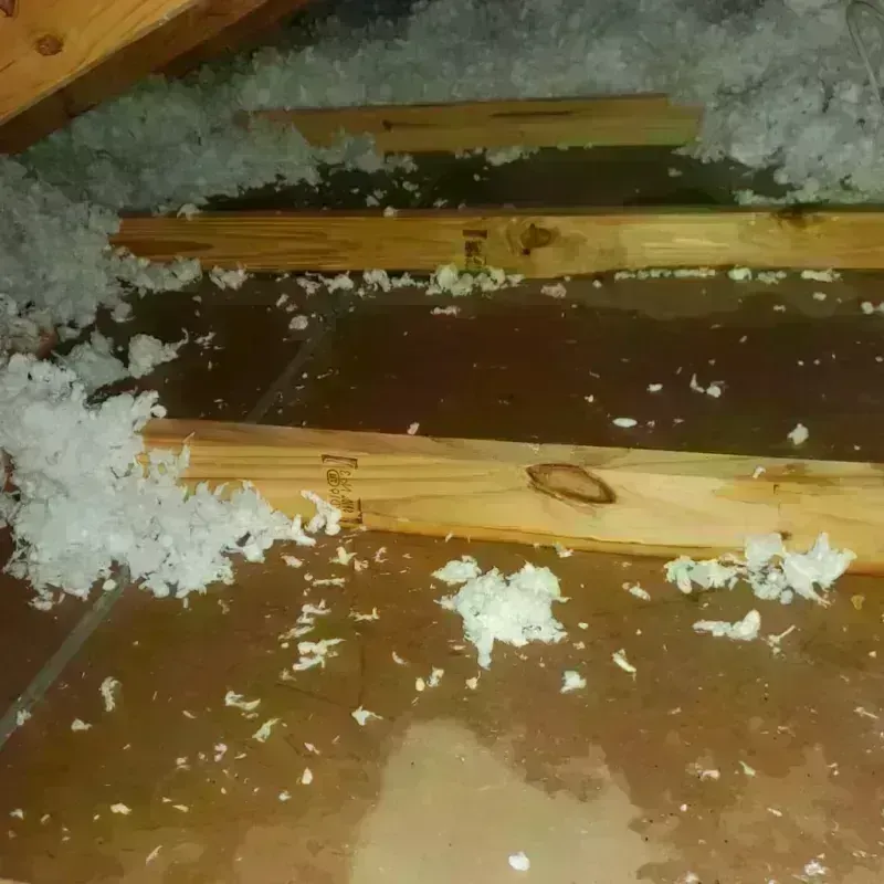 Attic Water Damage in Greenfield, IN